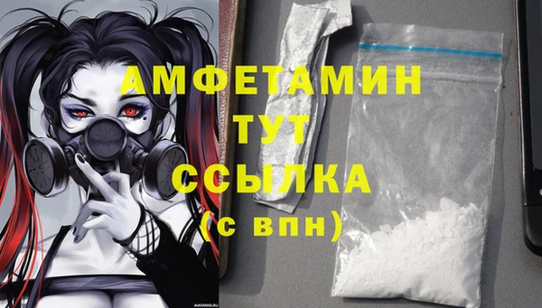 молекула духа Алексеевка