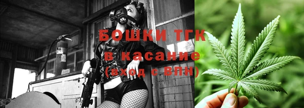 эйфоретик Алексин
