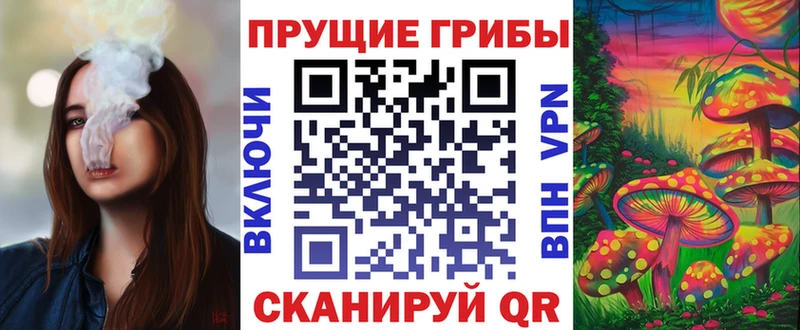 Псилоцибиновые грибы Psilocybe  сколько стоит  Луза 