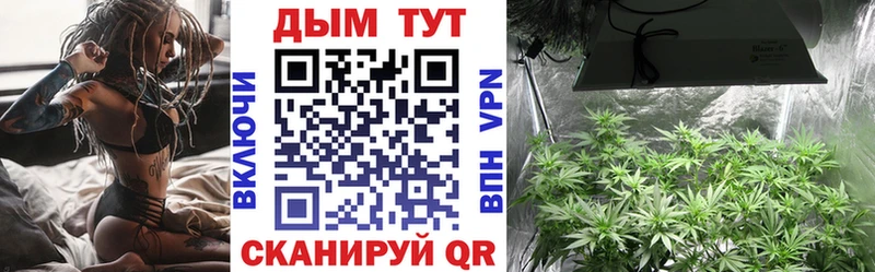 Конопля SATIVA & INDICA Луза